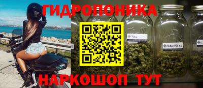 PSILOCYBIN Кинель