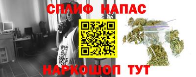 PSILOCYBIN Кинель