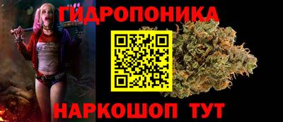 ГАЛЛЮЦИНОГЕННЫЕ ГРИБЫ Кимры