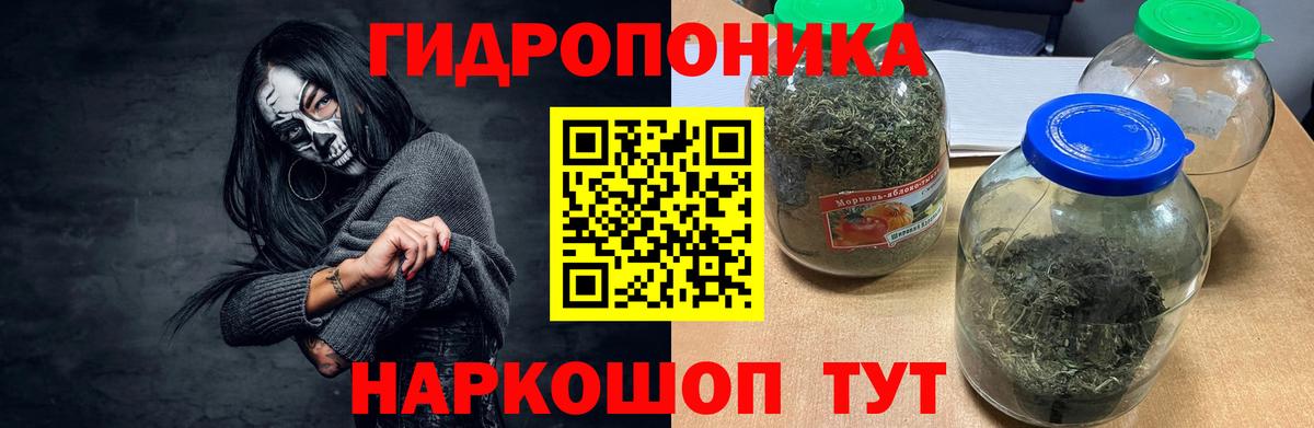 Шишки марихуана конопля  Конопля VHQ  Бошки марихуана конопля  Вход с VPN  Канабис Amnesia  Барабинск 